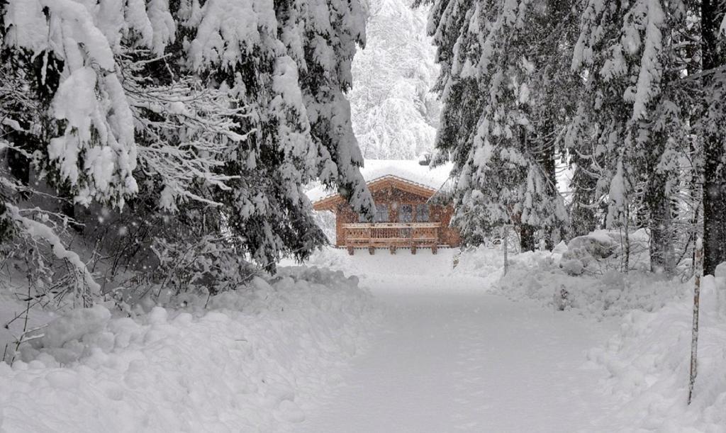 Ferienwohnung Steiner Wald im Pinzgau Exterior photo